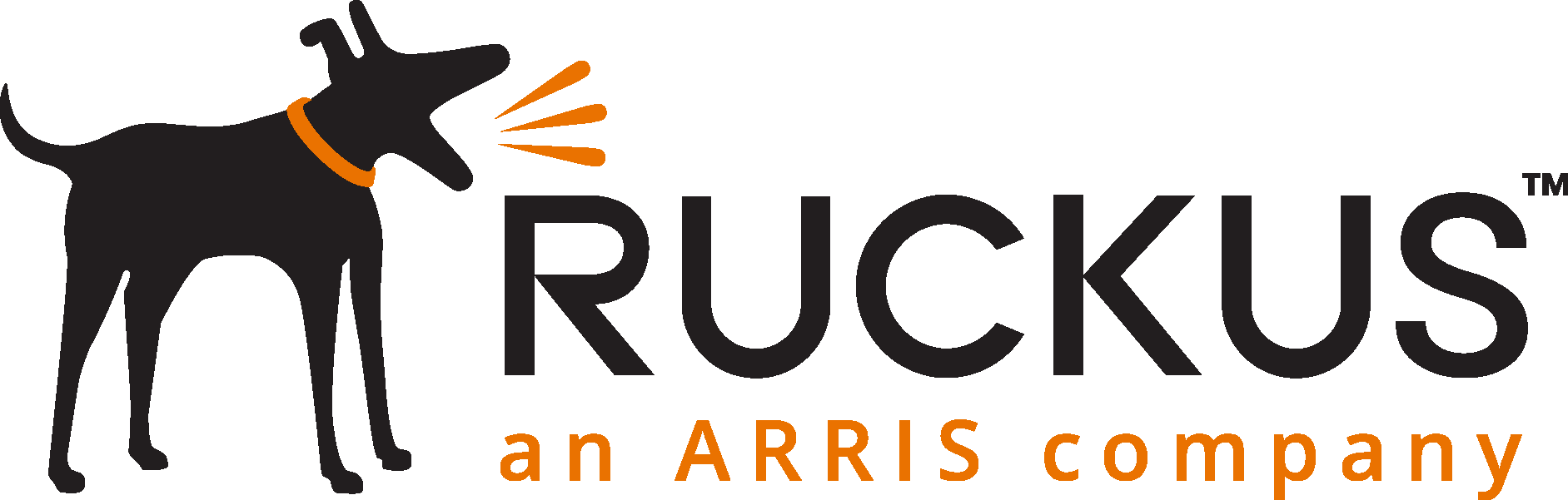 Ruckus Wireless